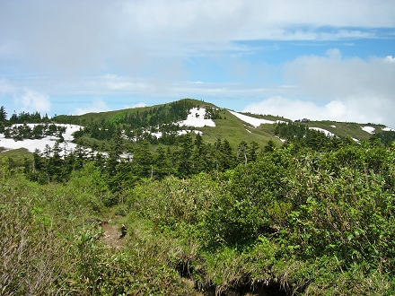 XgR